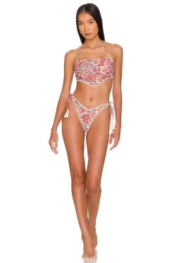 Fall 2022 Nayda Bottom